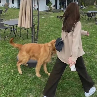 青春王室 第二季